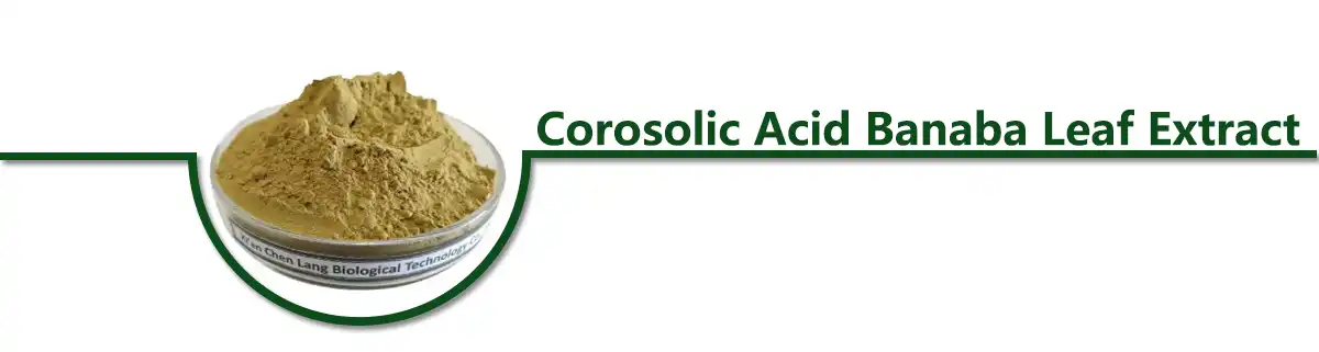 Corosolic Acid Banaba Leaf.jpg